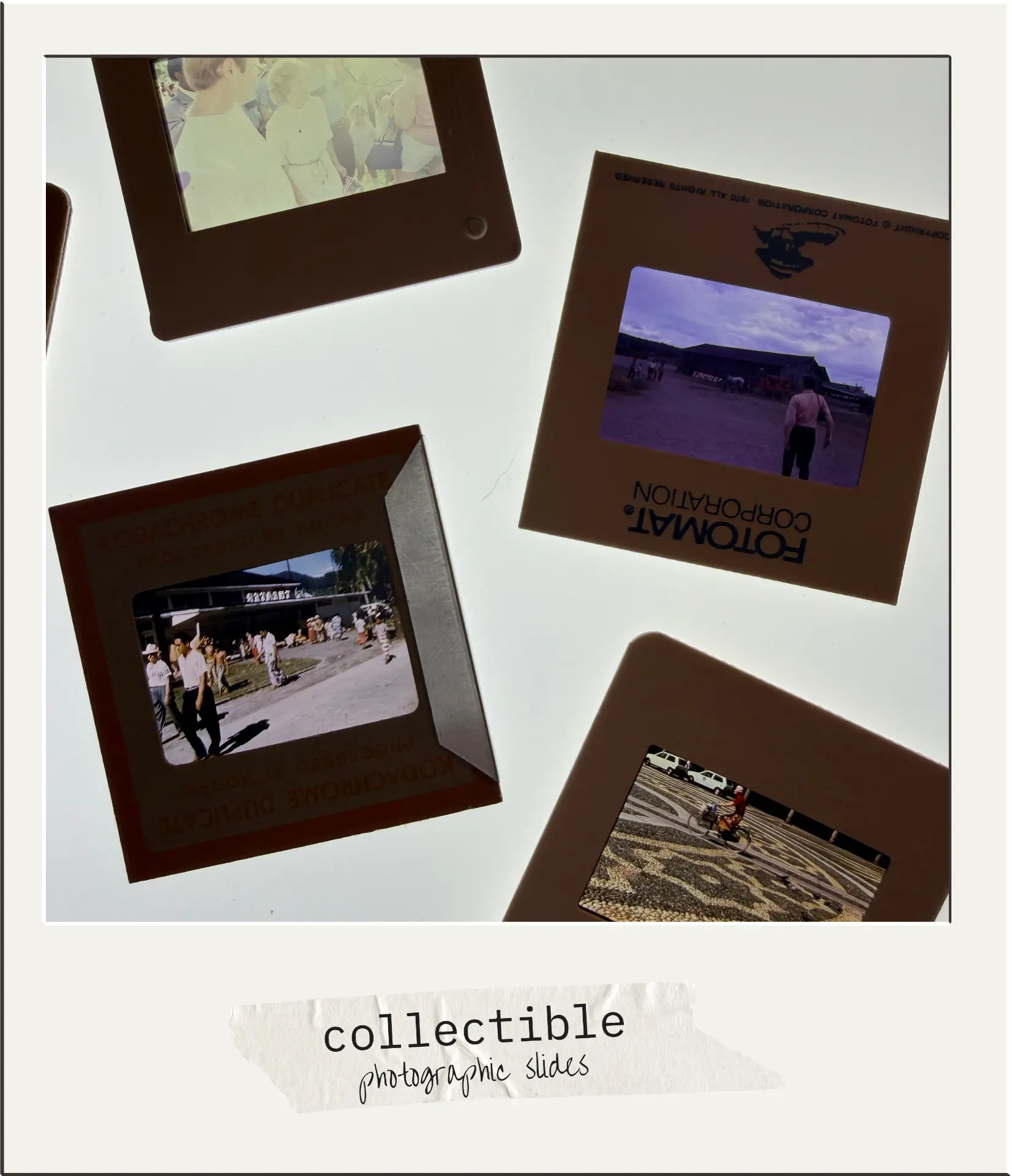 Polaroid of vintage photographic slides